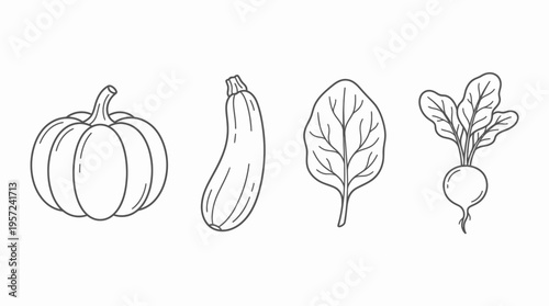 Line art illustration of various fresh vegetables including pumpkin, zucchini, spinach leaf, and radish on a white background.