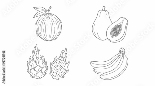 Line art illustrations of various tropical fruits including coconut, papaya, dragon fruit, and bananas in a simple black and white style.