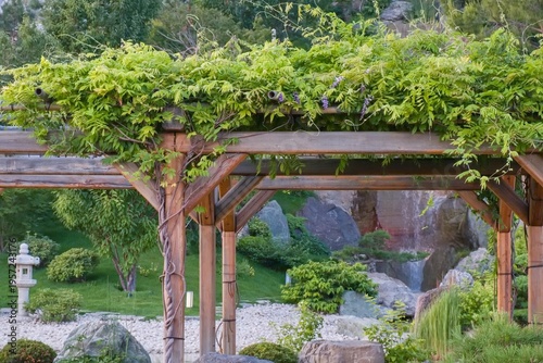 Wooden pergola structure with wisteria flowers and bamboo elements in Japanese style garden. Natural materials, texture and architectural detail in landscape design.