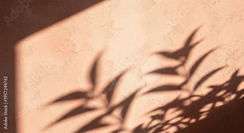 A serene and peaceful shadow of a plant on a wall with natural light