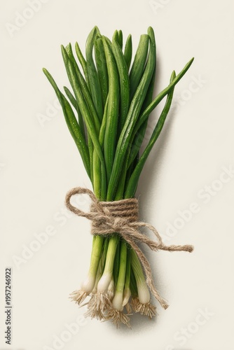 Fresh green onion bundle on a white background