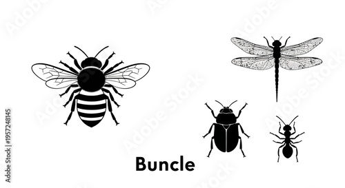 Insect Silhouettes: Bee, Dragonfly, Beetle, Ant on White Background