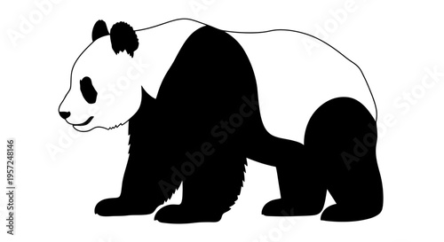 Giant Panda Bear Walking Silhouette, Black and White