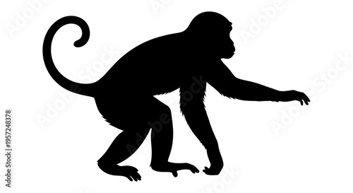 Monkey Silhouette Vector - Primate Animal Illustration