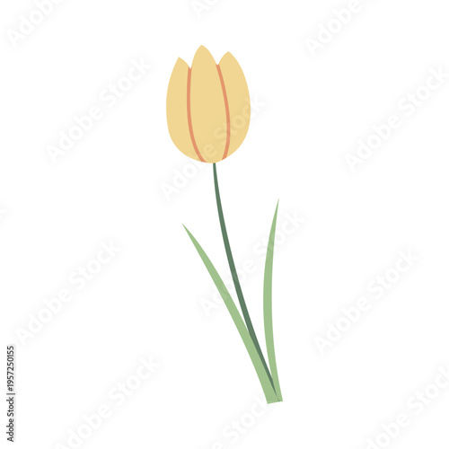 Minimal tulip flower illustration in flat pastel style. Perfect for spring design, branding, and decorative projects. Simple botanical element for modern use.