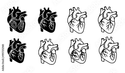 Human Heart Anatomy Icon Set with Detailed Medical Illustrations in Outline and Silhouette for Healthcare, Biology Education, Science Graphics, and Anatomy Design