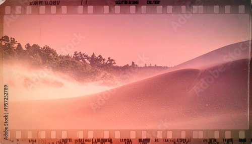 Pink sand dunes with forest film frame.