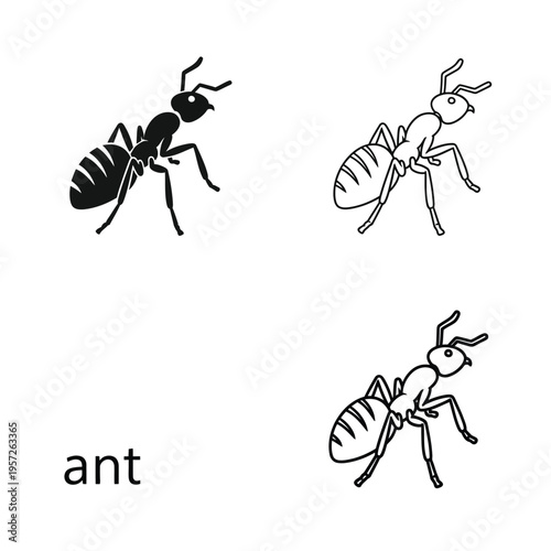 Ant insect icons set featuring black silhouette and linear hand drawn sketch illustrations