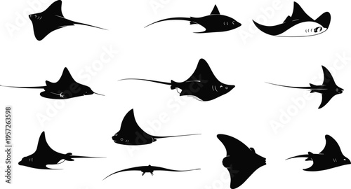 Stingray silhouettes set, marine ocean fish collection, black vector rays isolated, underwater sea creatures for aquatic wildlife design illustration