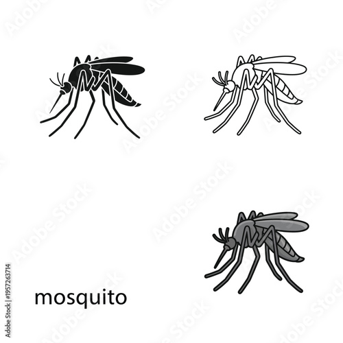 Mosquito vector icons set insect animal silhouette outline and color drawing isolated