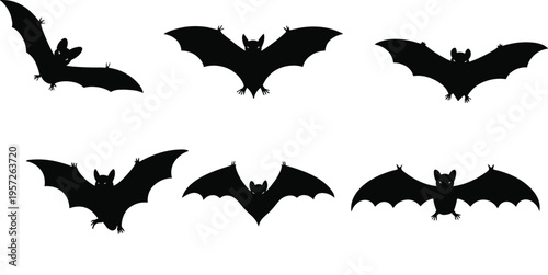Bat silhouettes set, flying nocturnal animal collection, black vector vampire bats isolated, spooky halloween design elements for horror illustration