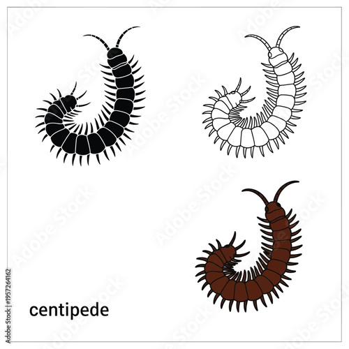 Centipede insect collection with solid black silhouette outline and brown colored version
