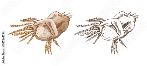 Hand drawn vintage sketch of wheat grain sack with ears bundle color and outline version illustration