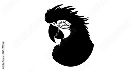 Black silhouette of a macaw parrot head with detailed feathers and eye