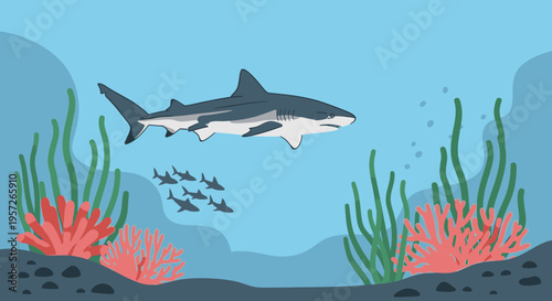 Gray shark swimming in ocean water.