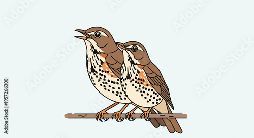 Two brown and white spotted birds.