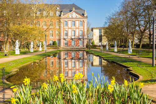 Yellow spring flowers in the palace garden of Trier, Germany