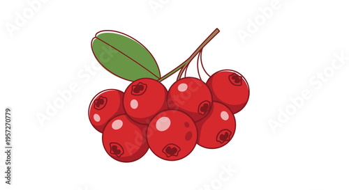 Cluster of red currants with leaf.