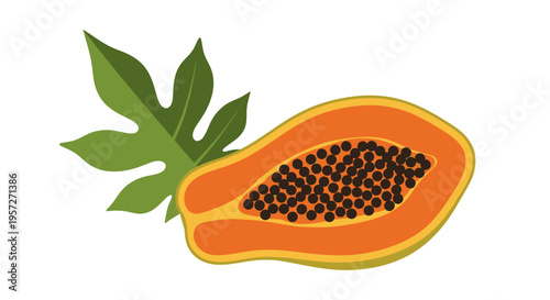Papaya Fruit Cut Open with Seeds.