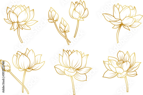 Elegant golden lotus flower vector set with blooming blossoms and buds in fine line art style for luxury branding spa wellness and spiritual design