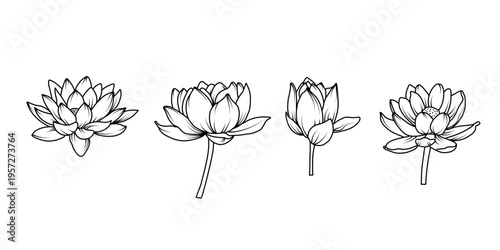 Minimalist black lotus flower line art vector set with blooming blossoms and buds in elegant hand drawn style for spa wellness and coloring page design