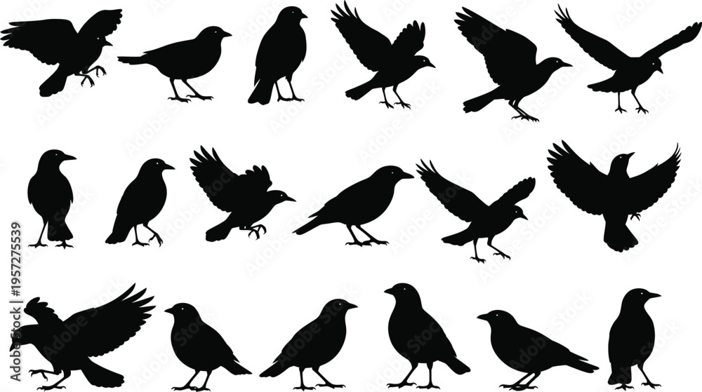 Obraz premium Wild bird silhouette shape set