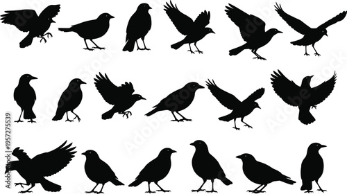 Wild bird silhouette shape set