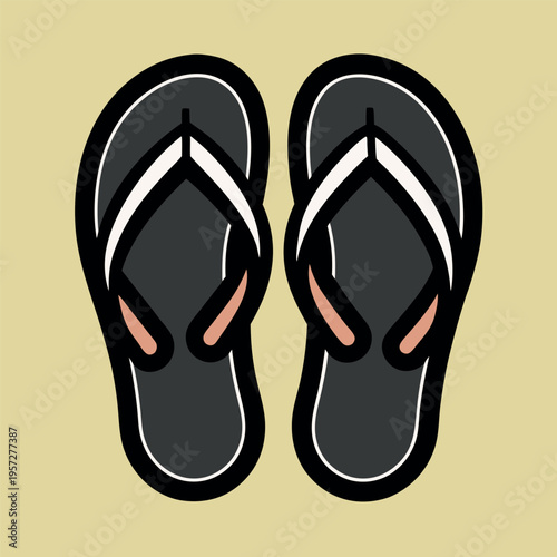 flip flops vector illustration