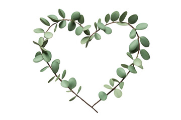 Eucalyptus leaves forming a heart shape, creating frame for love, nature, and organic themes on transparent background