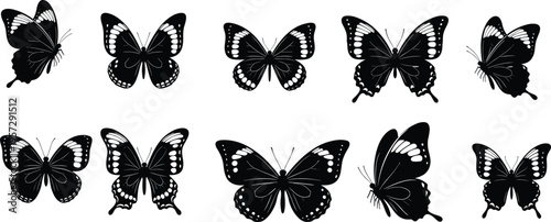 Butterfly silhouette collection, flying butterfly insect wings set, decorative nature wildlife vector icons isolated black butterfly illustrations