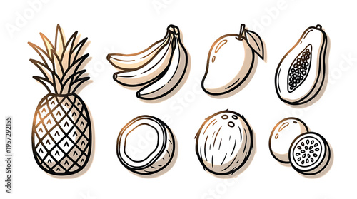 Hand-drawn tropical fruit illustrations featuring pineapple, mango, and bananas, ideal for healthy eating and refreshing summer designs