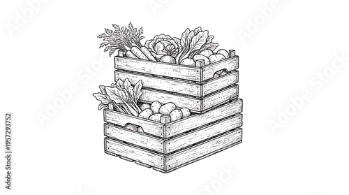 Stacked Wooden Crates Overflowing with a Bountiful Harvest of Fresh Organic Vegetables and Fruits in a Detailed Hand-Drawn Illustration