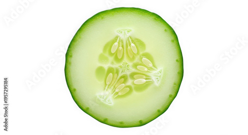 Fresh green cucumber slice with visible seeds and skin texture