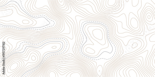 The stylized height of the topographic contour in lines and contours.Geographic line map with elevation assignments. Contour background geographic grid. Vector illustration.
