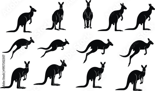 Kangaroo silhouette set collection featuring standing and jumping poses, black marsupial animal icons isolated on light background, Australian wildlife vector style