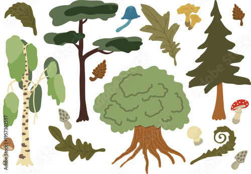 Forest trees set mushrooms leaves woodland elements isolated