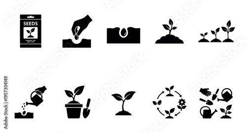 Black and white icons illustrate various stages of plant growth from seed packet to mature plant with gardening tools and watering can.