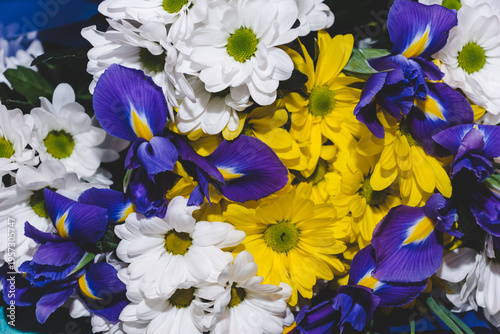 Flower arrangement background. Beautiful fragrant bouquet with white and yellow chrysanthemums, and blue irises. Floristry and floral design concept. Floral texture close-up.