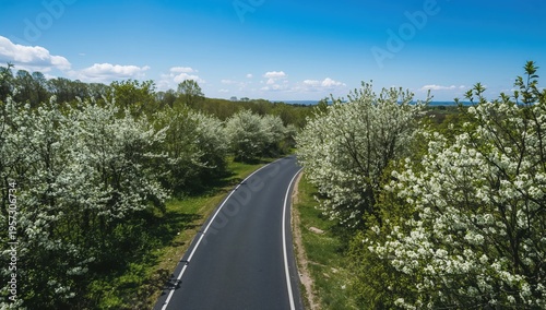 Winding country road surrounded by blooming trees under clear blue sky in spring landscape
