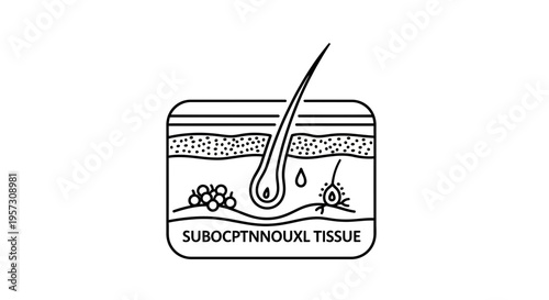 Cross-section of skin tissue showing hair follicle, sebaceous gland, and subcutaneous layer