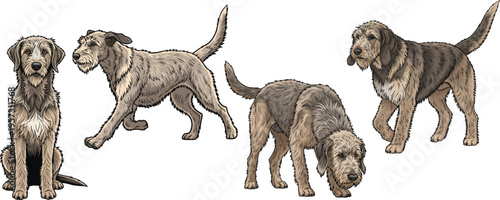 Otterhound dog running walking sniffing ground sitting pose set