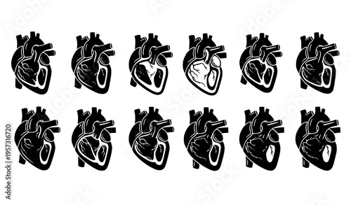 Anatomical Heart Icon Set Vector with Human Organ Illustrations, Medical Symbols Collection for Healthcare Design, Biology Education, Tattoo Art, and Scientific Graphics