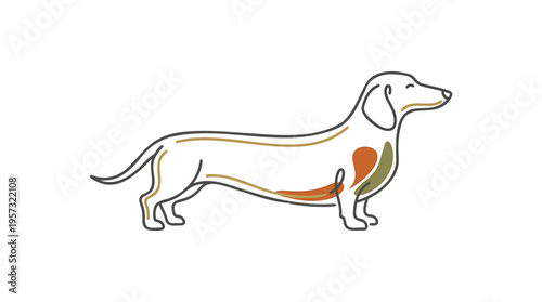 Minimalist Line Art Dachshund Illustration with Abstract Internal Shapes on White Background, Perfect for Pet-Related Design Projects and Veterinary Concepts