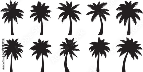 palm trees silhouettes