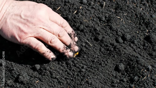 Dark, rich soil fills the frame in a full-frame close-up, its rough organic texture evoking the fertile earth of the agriculture spring season.