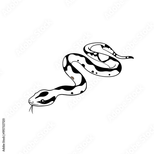 Boa Constrictor. Boa Constrictor simple black and white line art vector logo