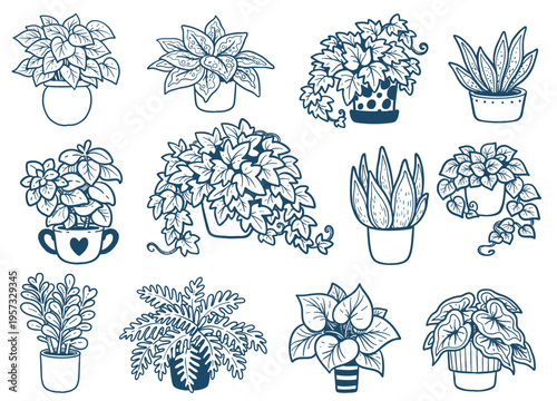 Big set of sketches of succulents and house plants in graphically arranged pots