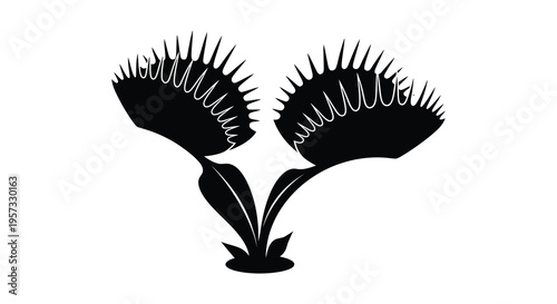 A striking black silhouette of a venus flytrap with open traps showcasing intricate details and sharp teeth silhouette high quality professional