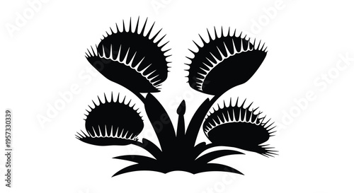 A striking black silhouette depicts a carnivorous venus flytrap plant with detailed trap structures silhouette high quality professional modern elegant stylish