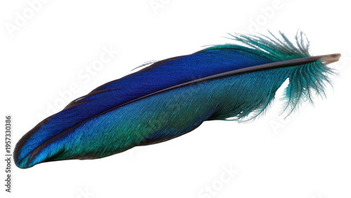 Foto Beautiful vibrant blue and green iridescent bird feather showcasing natural eleg